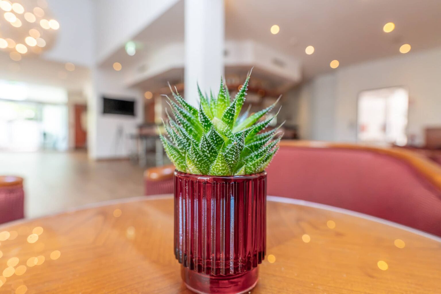 2026-05-parkhotel-steyr-317